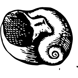 Coiled shell 02