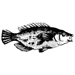 Upright fish 06