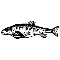Slim fish 18