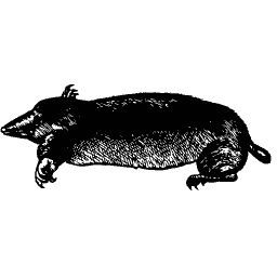 Mole