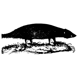 Dark long-bodied beast