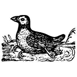 Standing bird 10