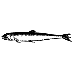 Slim fish 23