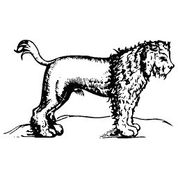 Lion 02