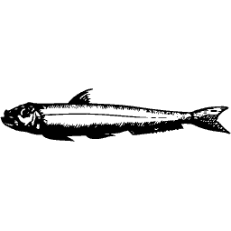 Upright fish 11