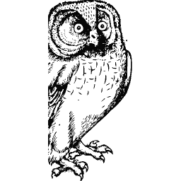 Owl 02