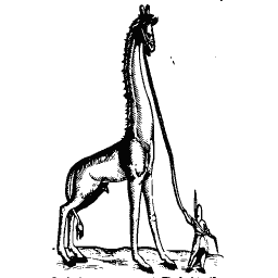 Giraffe 01