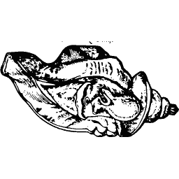 Ray 01
