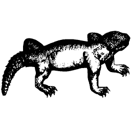 Salamander