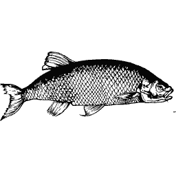 Scaled fish 11