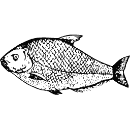 Upright fish 12