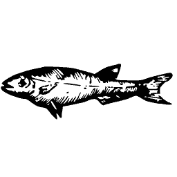 Slim fish 25
