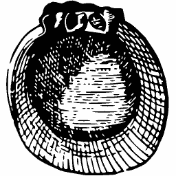 Nest of eggs