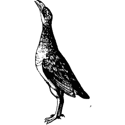 Standing bird 12