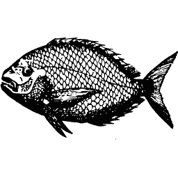 Scaled fish 12