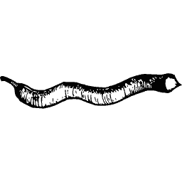 Lamprey