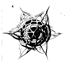 Spined lattice radiolarian