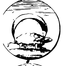 Tortoise under a crescent moon