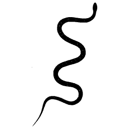 Snake in an S curve