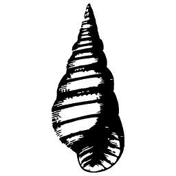 Ribbed turret shell 01