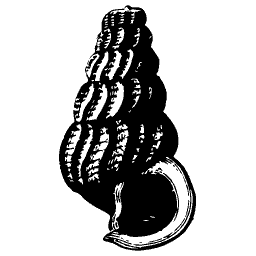 Ribbed turret shell 02