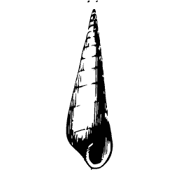 Slim turret shell
