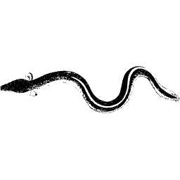 Eel