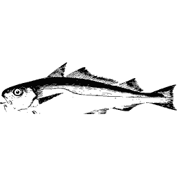 Pollack