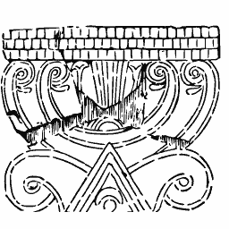 Volute capital 01