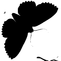 Butterfly silhouette 02