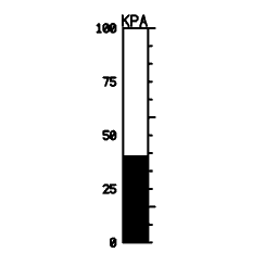 Vertical scale 03