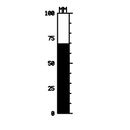 Vertical scale 07