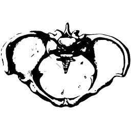 Pelvic ring from below