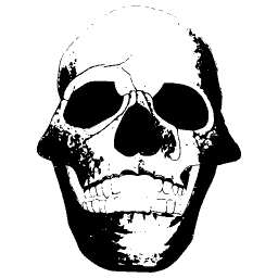 Human skull from the front