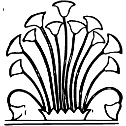Papyrus thicket