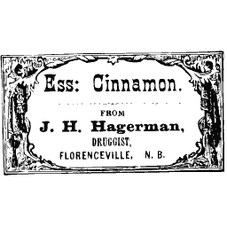 Essence of cinnamon label 04
