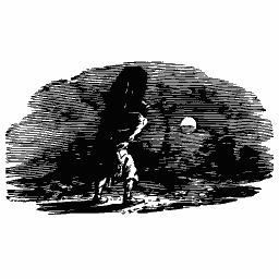 Traveller at night