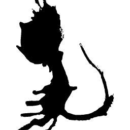Curl tailed mouse blot