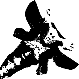 Splayed blot figure