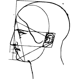 Head construction diagram