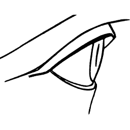 Eye outline study