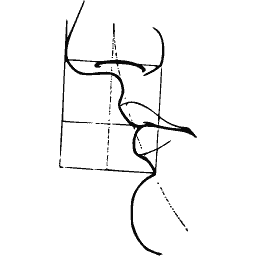 Lip construction diagram