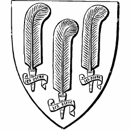 Feathers shield