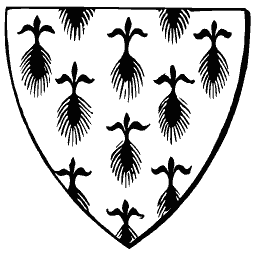 Ermine shield 01