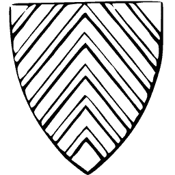 Chevronny shield