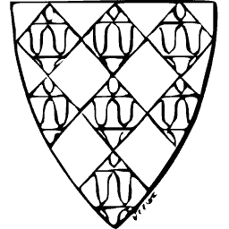 Vairy shield 01