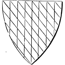 Lozengy shield 01