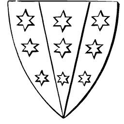 Paly shield with stars