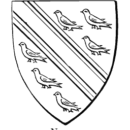 Shield with bend and martlets 01