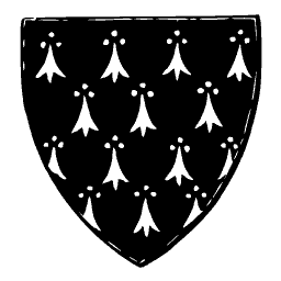 Ermine shield 02